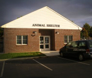 animal_shelter